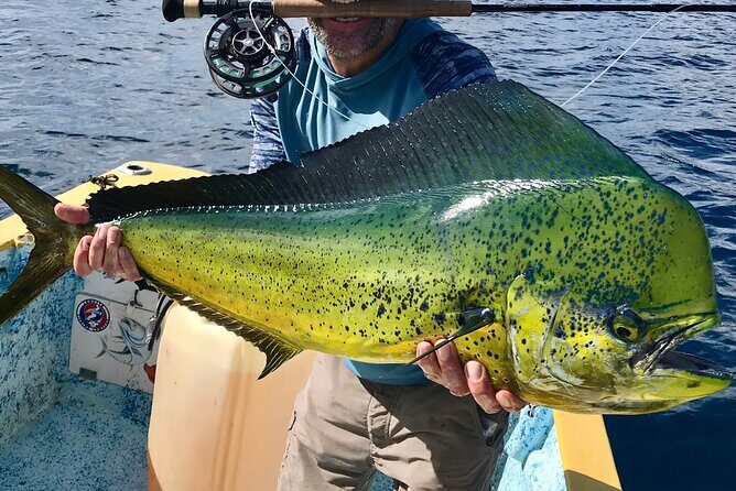 Baja Fishing Dream Roosterfish Dorado Marlin Yellowtail Tuna - Why You’ll Love This Baja Fishing Trip