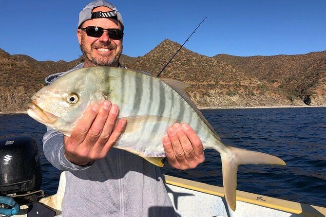 Baja Fishing Dream Roosterfish Dorado Marlin Yellowtail Tuna - Who This Tour Is Best For