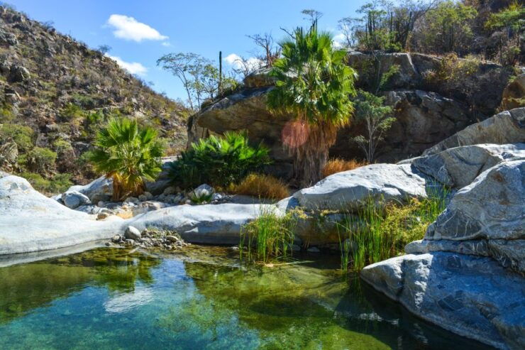 Baja Jeep Tour to Santiago From Los Cabos: Drive or Ride - Activity Details
