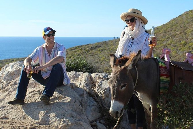 Baja Peninsula Hiking Tour With a Donkey Companion  - San Jose Del Cabo - Good To Know