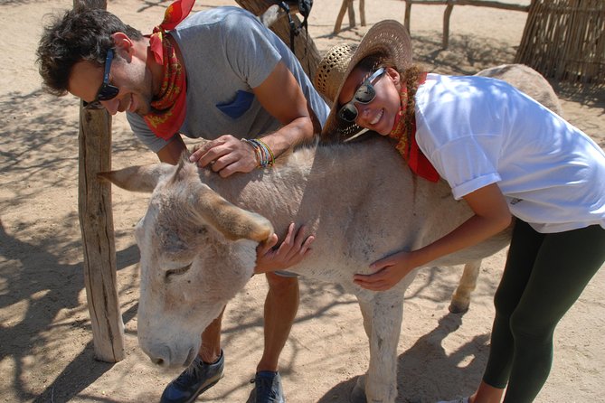Baja Peninsula Hiking Tour With a Donkey Companion  - San Jose Del Cabo - Tour Highlights
