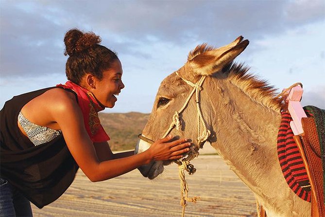 Baja Peninsula Hiking Tour With a Donkey Companion  - San Jose Del Cabo - Trail Difficulty Level