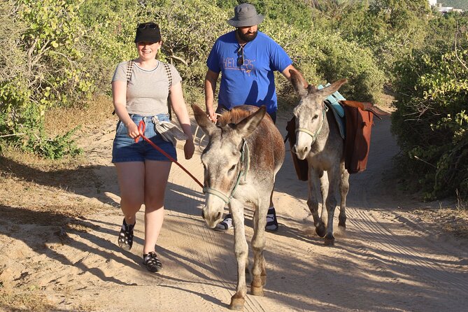 Baja Peninsula Hiking Tour With a Donkey Companion  - San Jose Del Cabo - How to Book Your Baja Peninsula Hiking Tour
