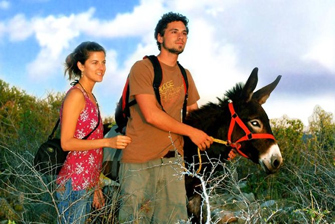 Baja Peninsula Hiking Tour With a Donkey Companion  - San Jose Del Cabo - Common Questions