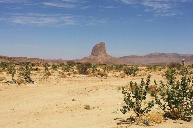 Baja UTV Adventure Canyon Exploration and Tequila Tasting - What Reviewers Say (Insights from Feedback)