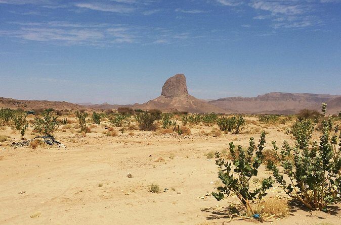 Baja UTV Adventure Canyon Exploration and Tequila Tasting - Who is this tour best for?