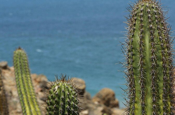 Baja UTV Adventure Canyon Exploration and Tequila Tasting - The Sum Up