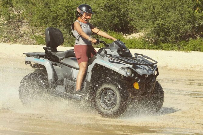 Bajas Best ATV Desert and Beach Tour - Meeting Point and Pickup Information