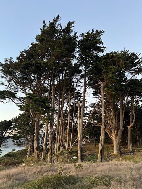 Baker Beach Hike - Booking Information