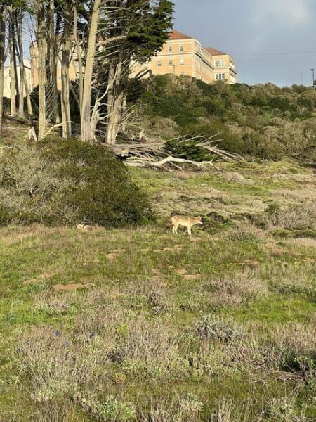 Baker Beach Hike - Frequently Asked Questions
