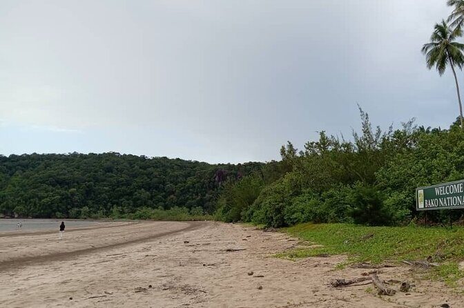 Bako National Park by Night from Kuching - Final Thoughts