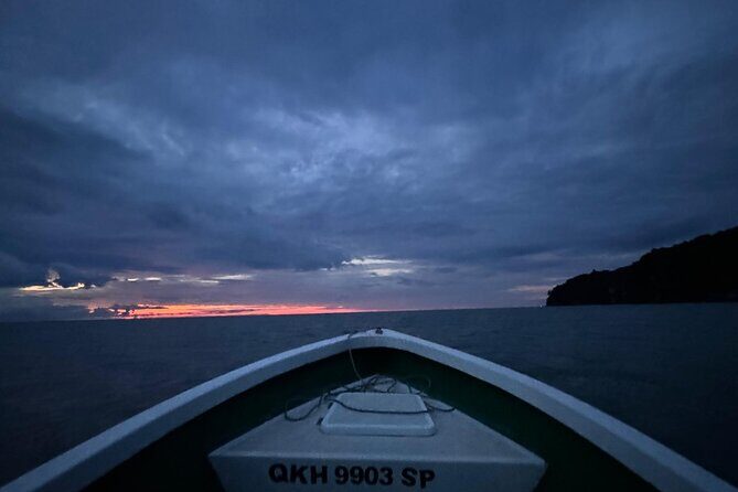 Bako National Park by Night from Kuching - Good To Know
