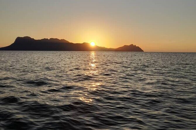 Bako National Park by Night from Kuching - Authentic Experiences and Review Highlights