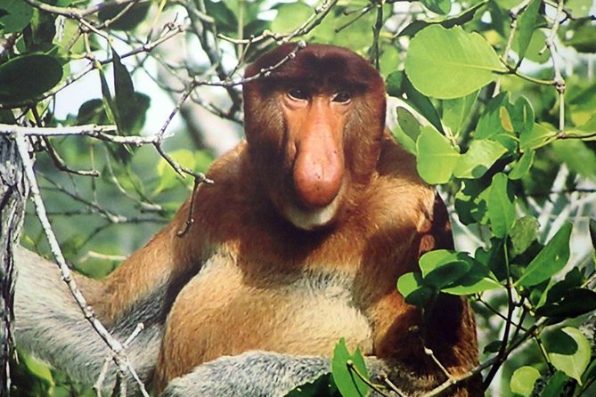 Bako National Park - What To Expect