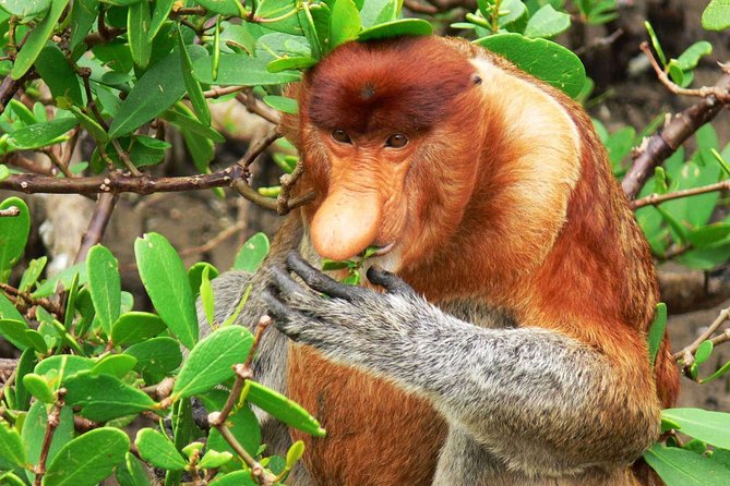 Bako National Park - Additional Information