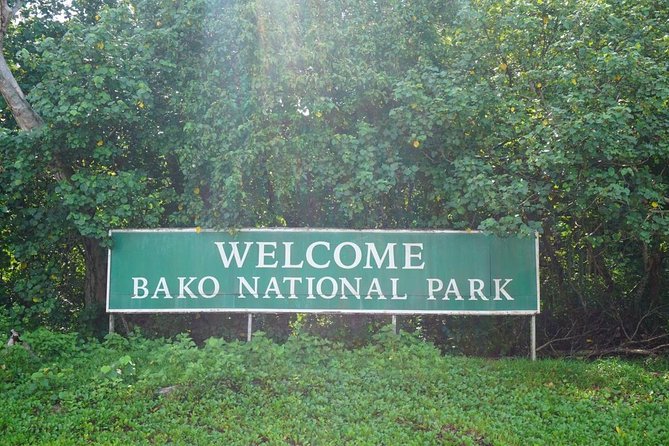 Bako National Park - Wildlife Sightings
