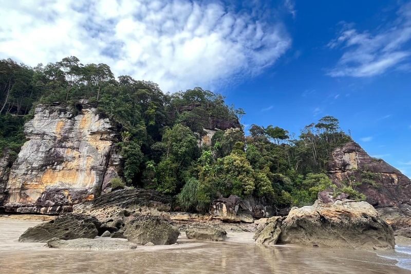 Bako National Park Day Tour in Kuching - Forest paths, coast and the effort involved