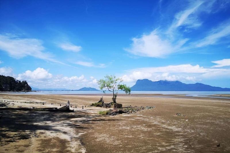 Bako National Park Day Tour in Kuching - What the price buys, and what it does not