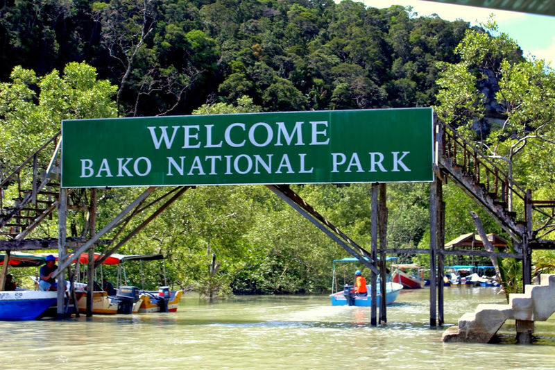 Bako National Park Day Tour in Kuching - What to pack for heat, rain and wet feet