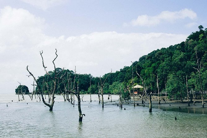 Bako National Park From Kuching City - Good To Know