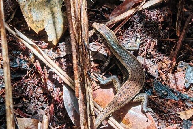 Bako National Park : Nature & Wildlife - Final Thoughts