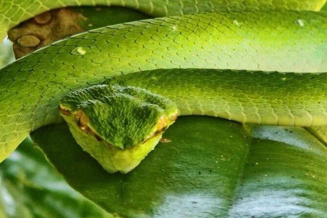 Bako National Park : Nature & Wildlife - Timing and Physical Fitness