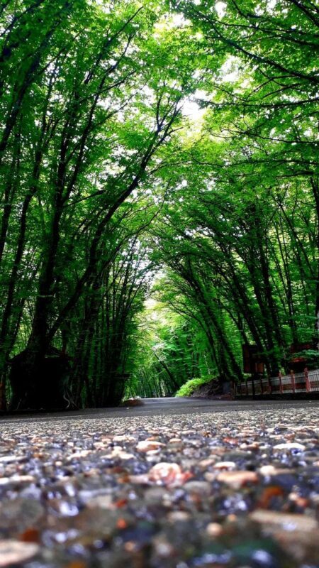 Baku Quba & Khinalig Full-Day Mountain Discovery - Booking flexibility and timing