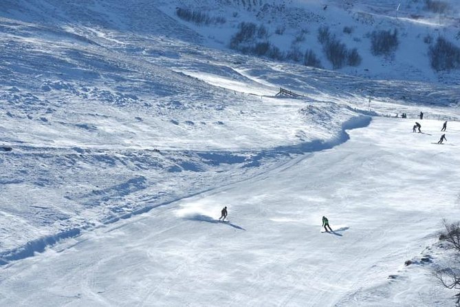 Bakuriani-Borjomi Full Day Trip - Tour Highlights