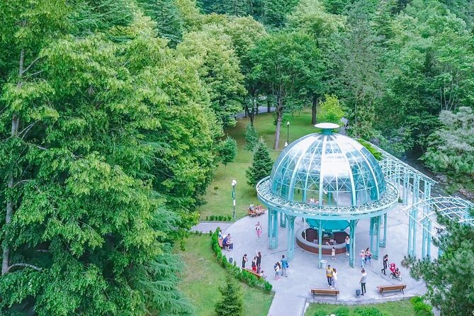 Bakuriani-Borjomi Full Day Trip - The Sum Up