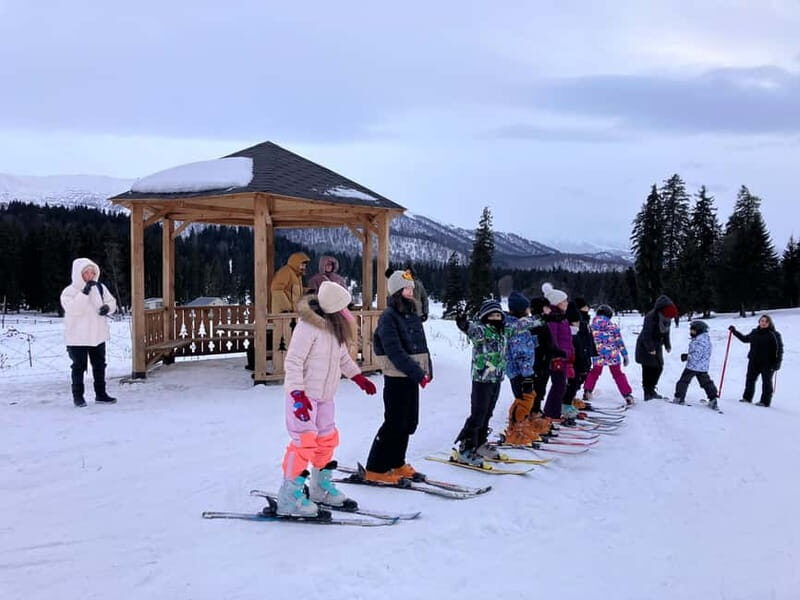 Bakuriani: Private or group Ski Lesson - Who Would Love This Experience?