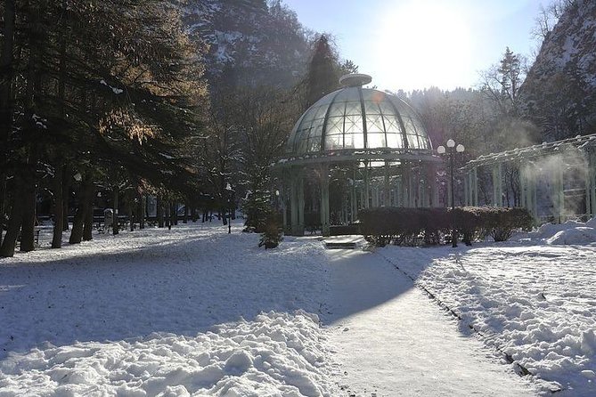 Bakuriani Ski Resort and the Legendary Borjomi (Group Tour) - The Sum Up