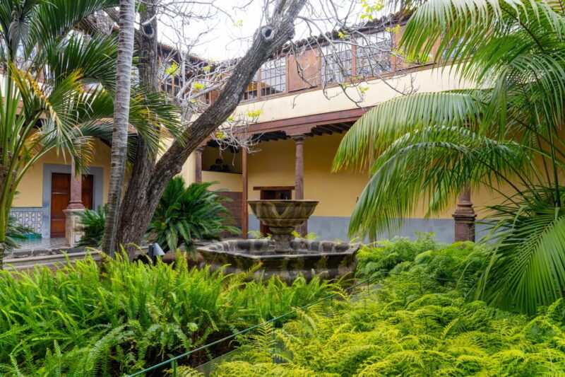 Balades Découverte Anaga & La Laguna - Final Thoughts