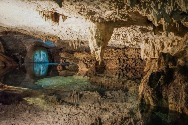 Balam Zipline Reservation, Cenote Snorkeling, and Rappel. - Zipline Adventure