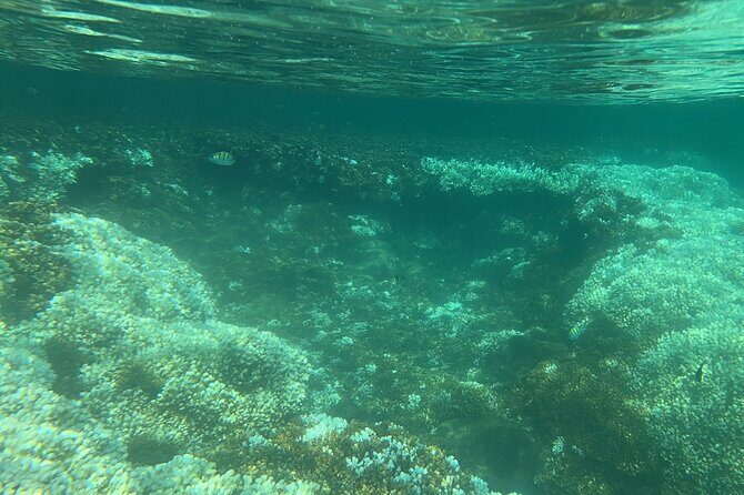 Balandra and Tecolote Beaches Day Trip with Lunch - Good To Know