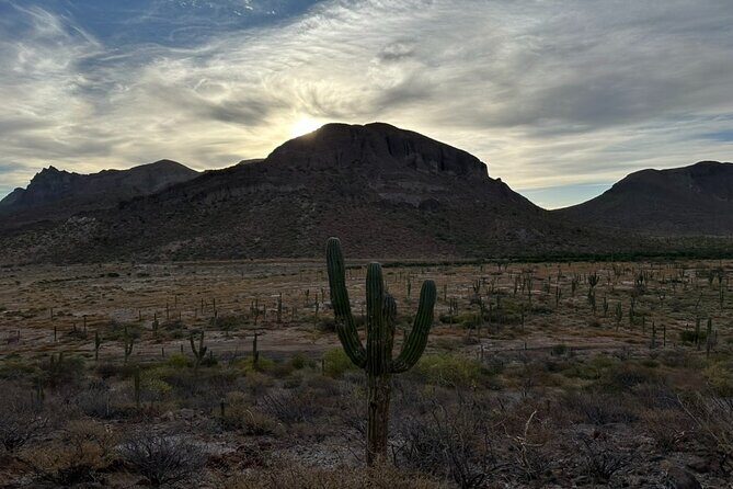 Balandra and Tecolote Beaches Day Trip with Lunch - Authentic Experiences and Traveler Insights