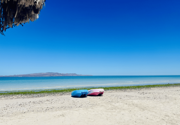 Balandra and Tecolote Beaches Day Trip With Lunch - Tour Booking and Cancellation