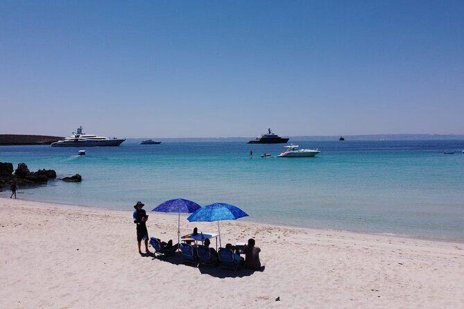 Balandra Bay Private Snorkeling and Sea Lions - Who Is This Tour Best For?