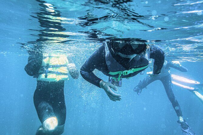 Balandra Bay Snorkeling Adventure - What Past Travelers Say