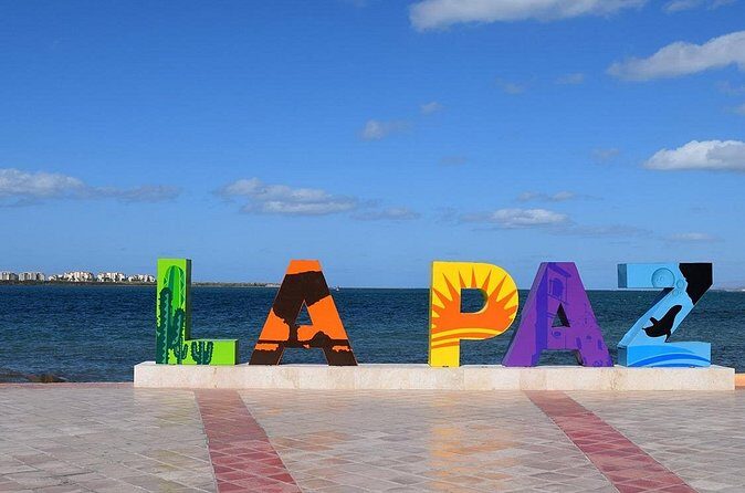 Balandra, La Paz & Todos Santos - Areas Where Experience Could Improve
