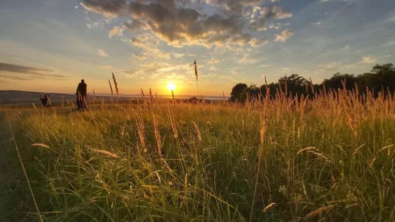 Balaton: Sunset Safari & Solar Telescope Experience for Two - Good To Know