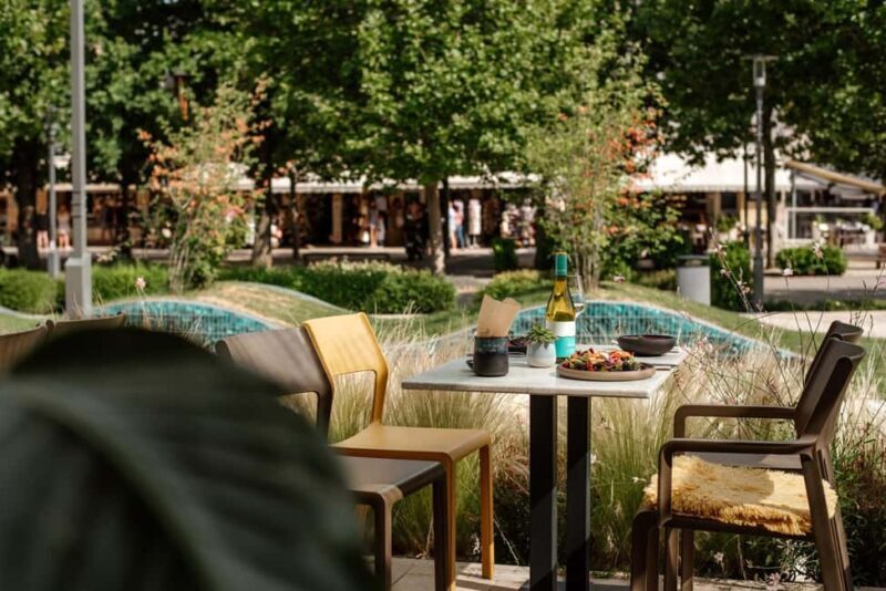 Balaton: Vineyard Tour and Wine Tasting with Zelna - Good To Know