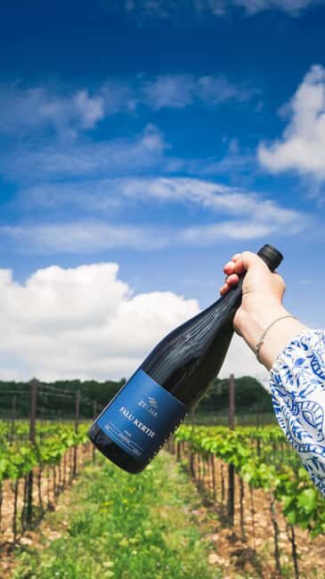 Balaton: Vineyard Tour and Wine Tasting with Zelna - Exploring the Itinerary: What You Can Expect