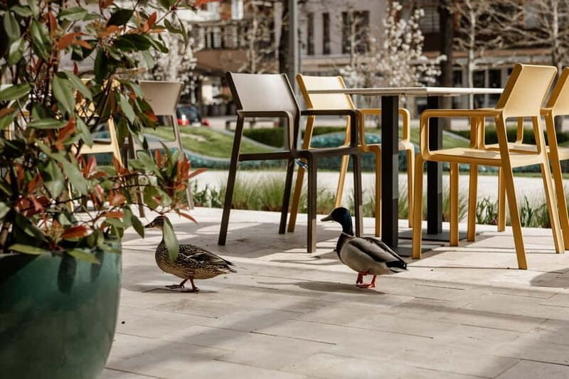 Balatonfüred: Zelna Wine Bistro Tasting Experience - The Value of the Zelna Wine Tasting