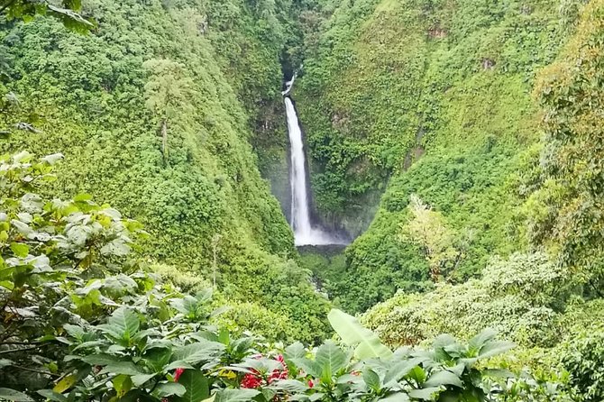 Baldi Hot Springs Arenal Volcano Fortuna Waterfall From San José - Reviews and Rating