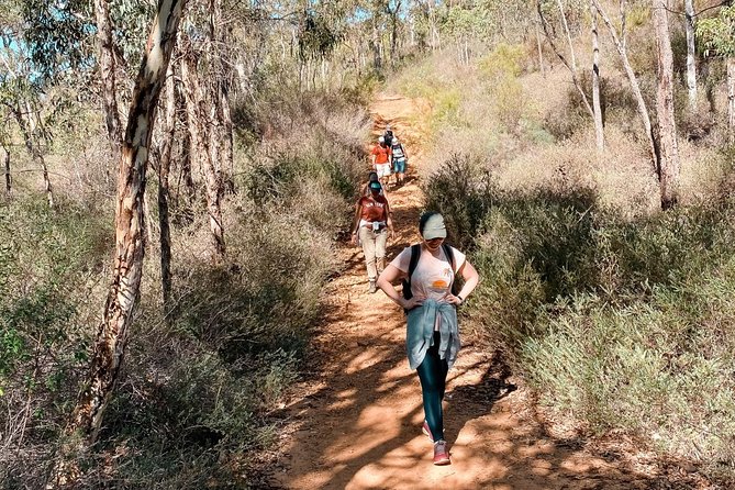 Baldwins Bluff Guided Hike - Good To Know
