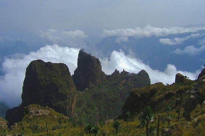 Bale Mountain 3 Days Tour - Booking Information