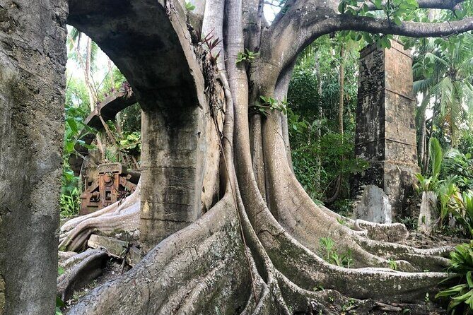 Balembouche Estate Sugar Mill and Beach Tour - Frequently Asked Questions