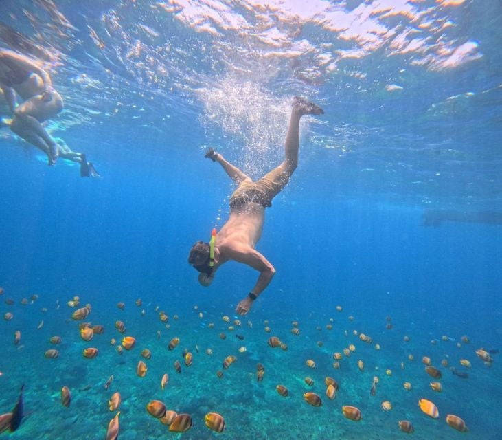 Bali: 1 Day Trip & Snorkelling Lunch in West Nusa Penida - Tourism in Nusa Penida