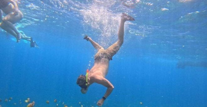 Bali: 1 Day Trip & Snorkelling Lunch in West Nusa Penida - Snorkelling Adventure at Seatour