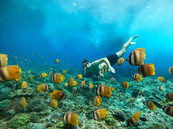 Bali: 1 Day Trip & Snorkelling Lunch in West Nusa Penida - Customer Feedback and Recommendations